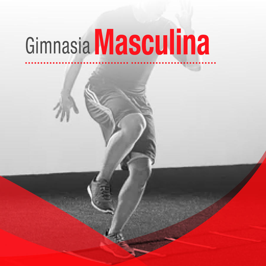 Gimnasia Masculina